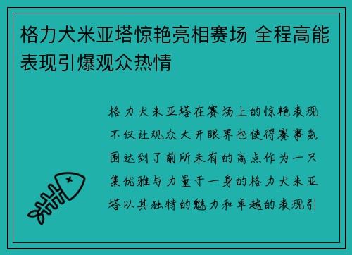 格力犬米亚塔惊艳亮相赛场 全程高能表现引爆观众热情
